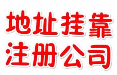 代理記賬一年800元，記賬會(huì)計(jì)代理